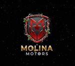 Molina Motors