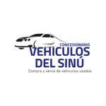 Vehiculos Del Sinú