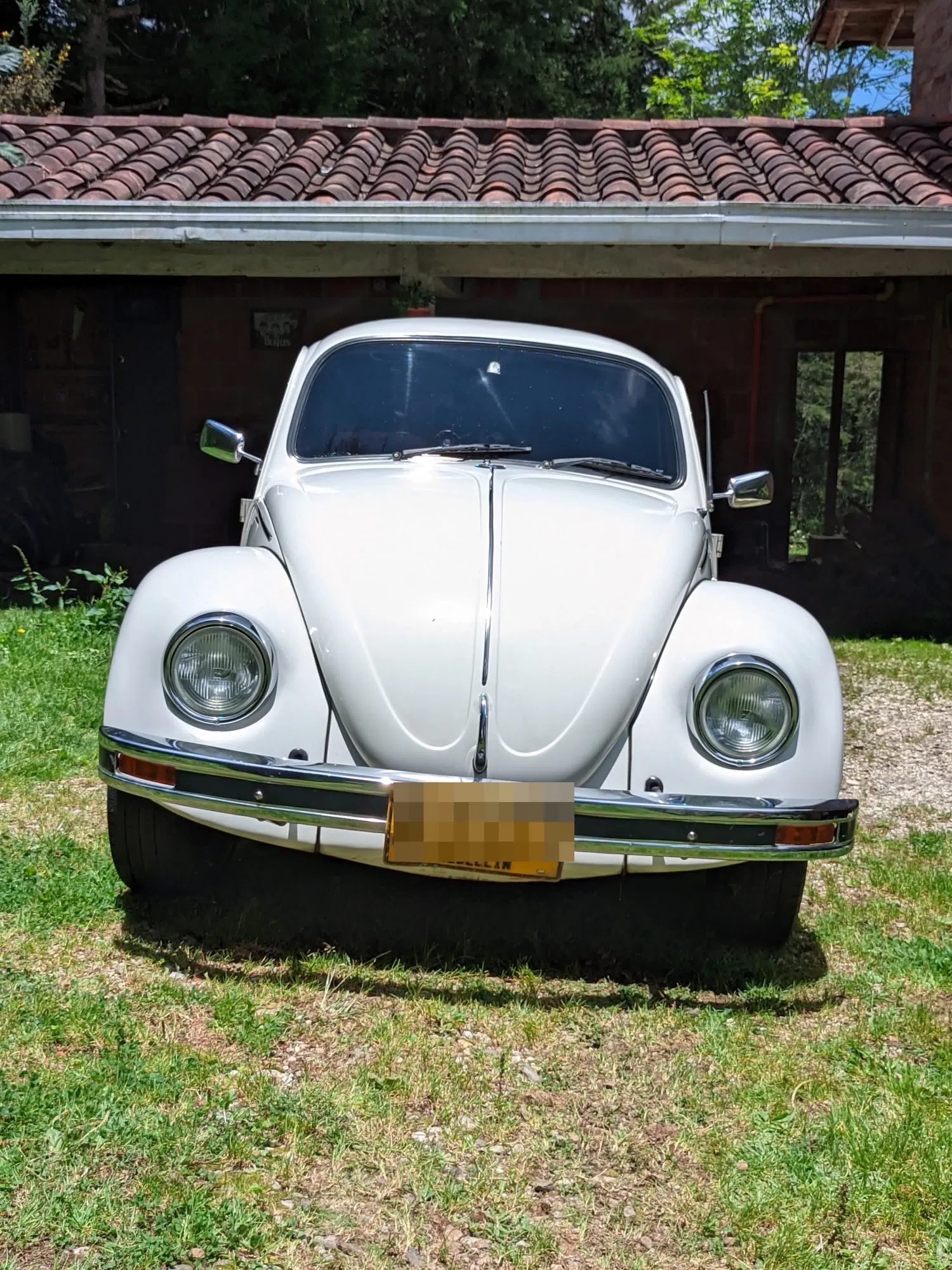 Volkswagen Escarabajo 1994