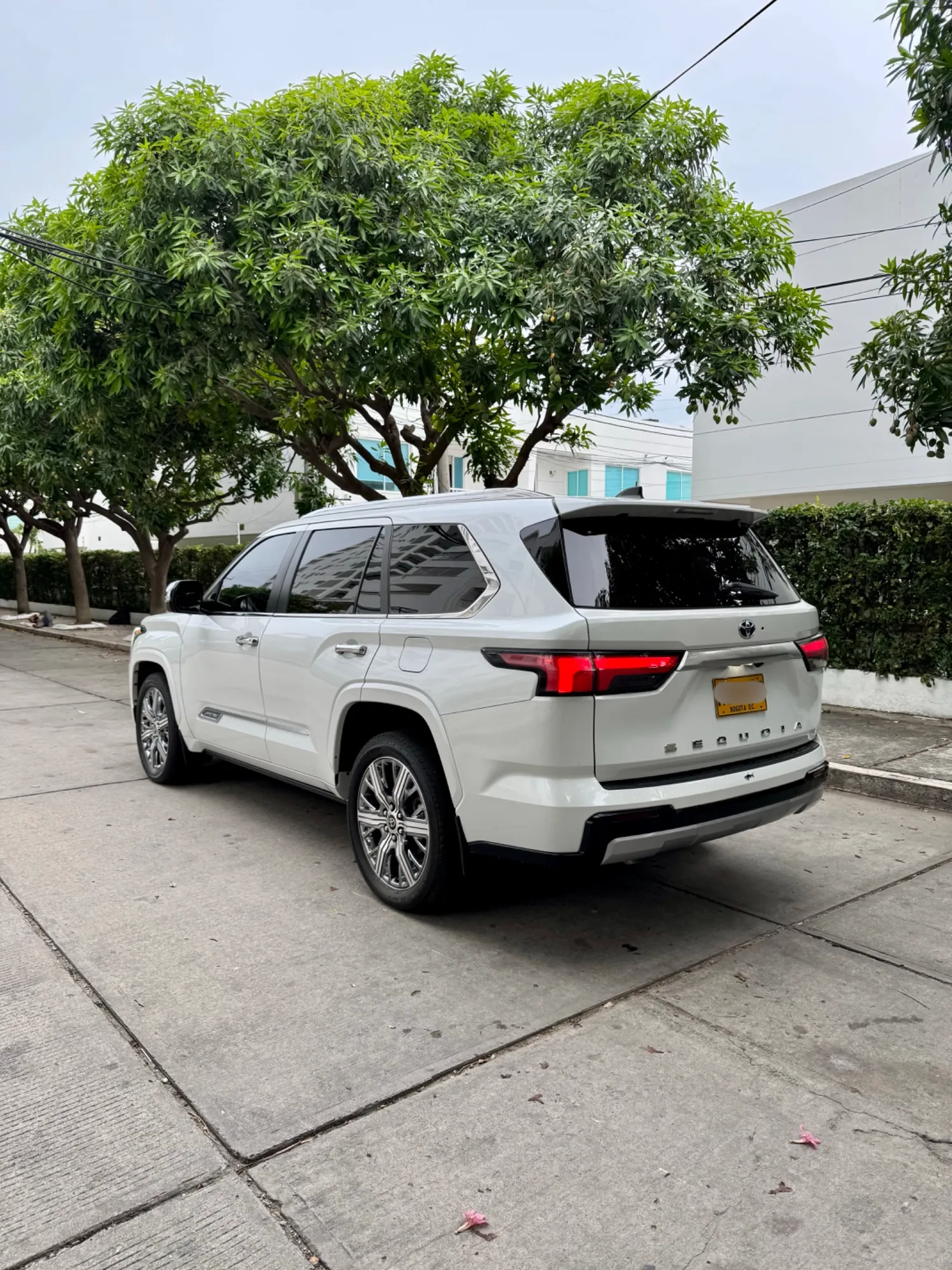 Toyota Sequoia Capstone 2024