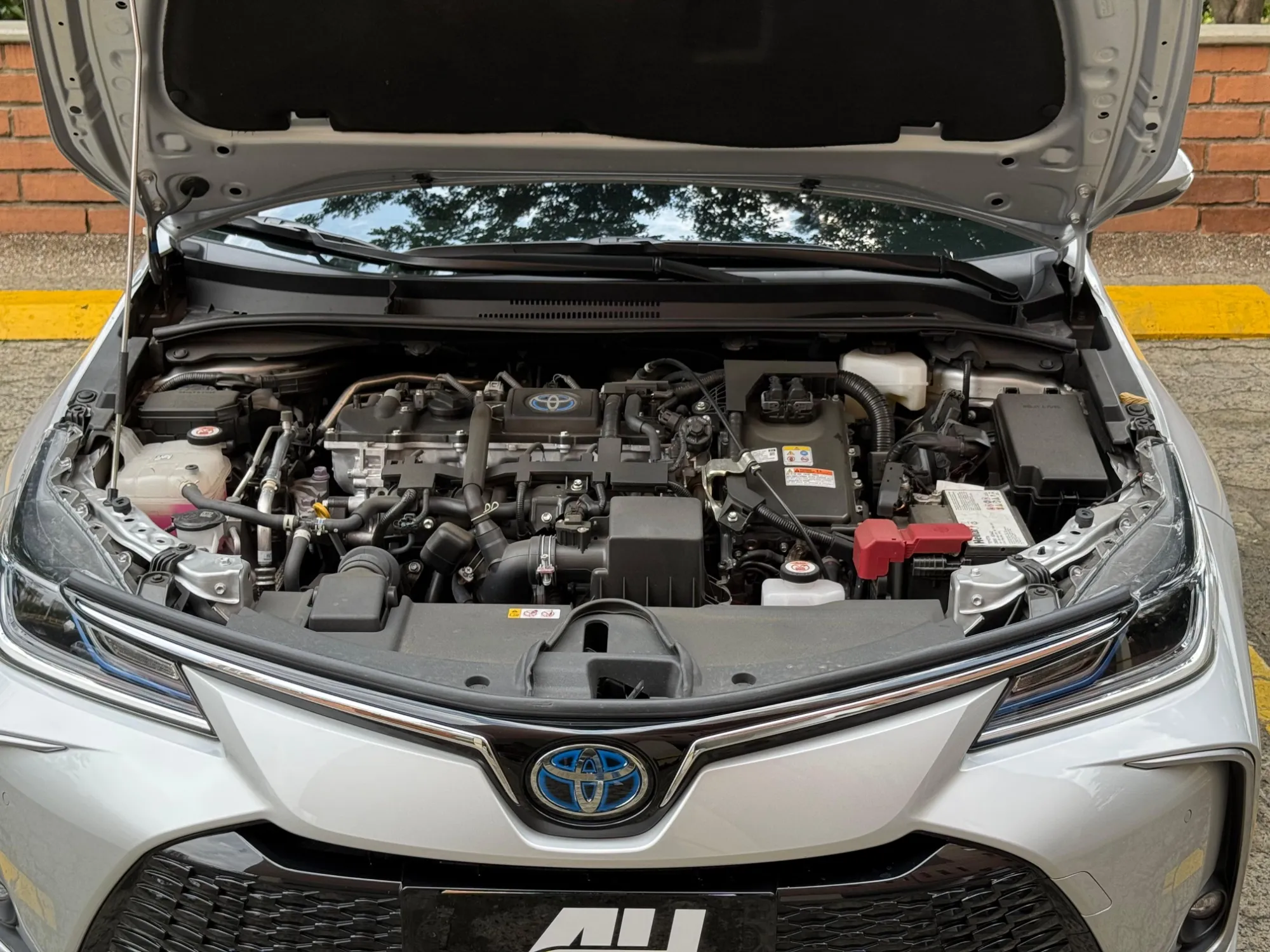 Toyota Corolla SEG 