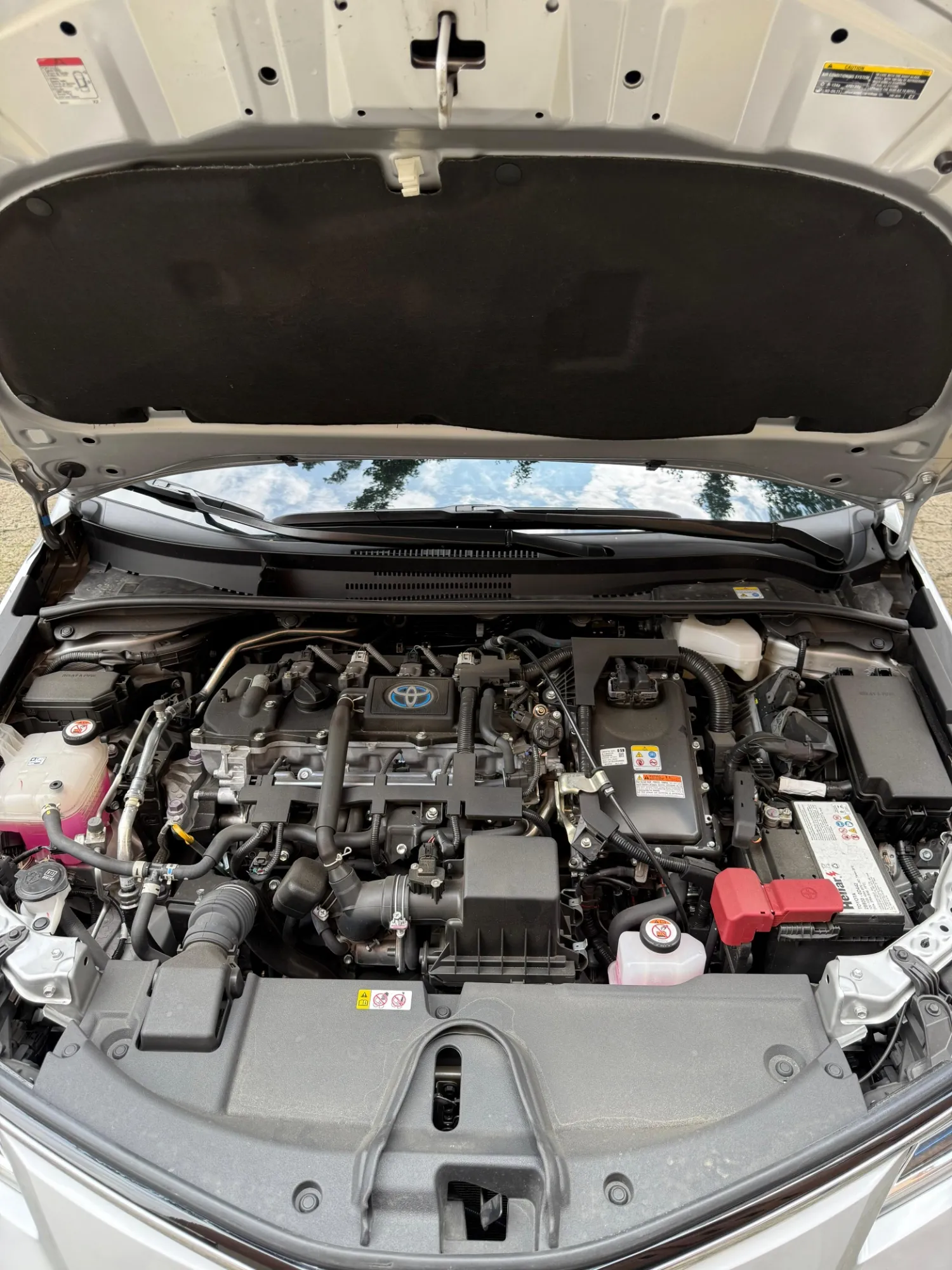 Toyota Corolla SEG 