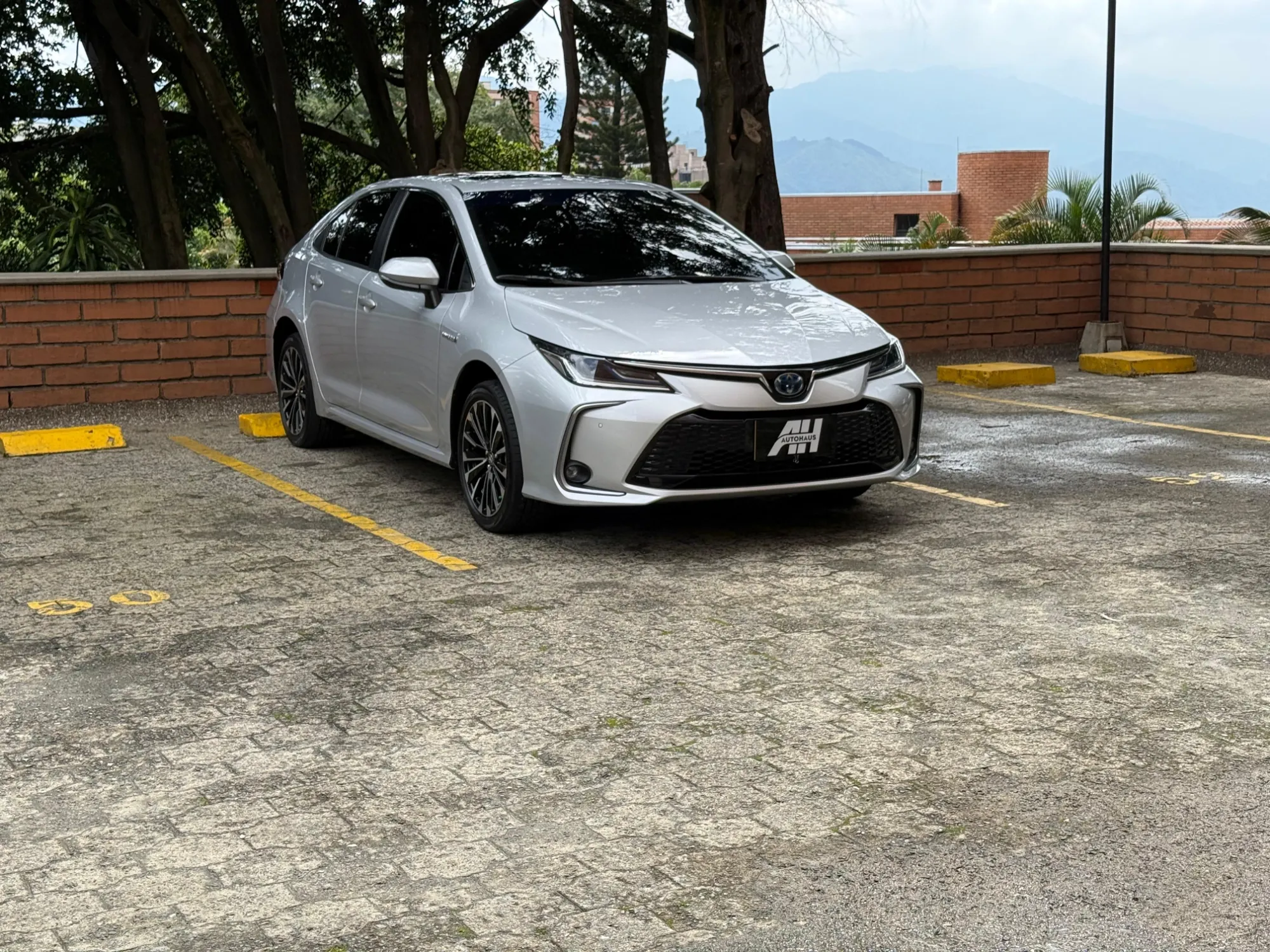 Toyota Corolla SEG 