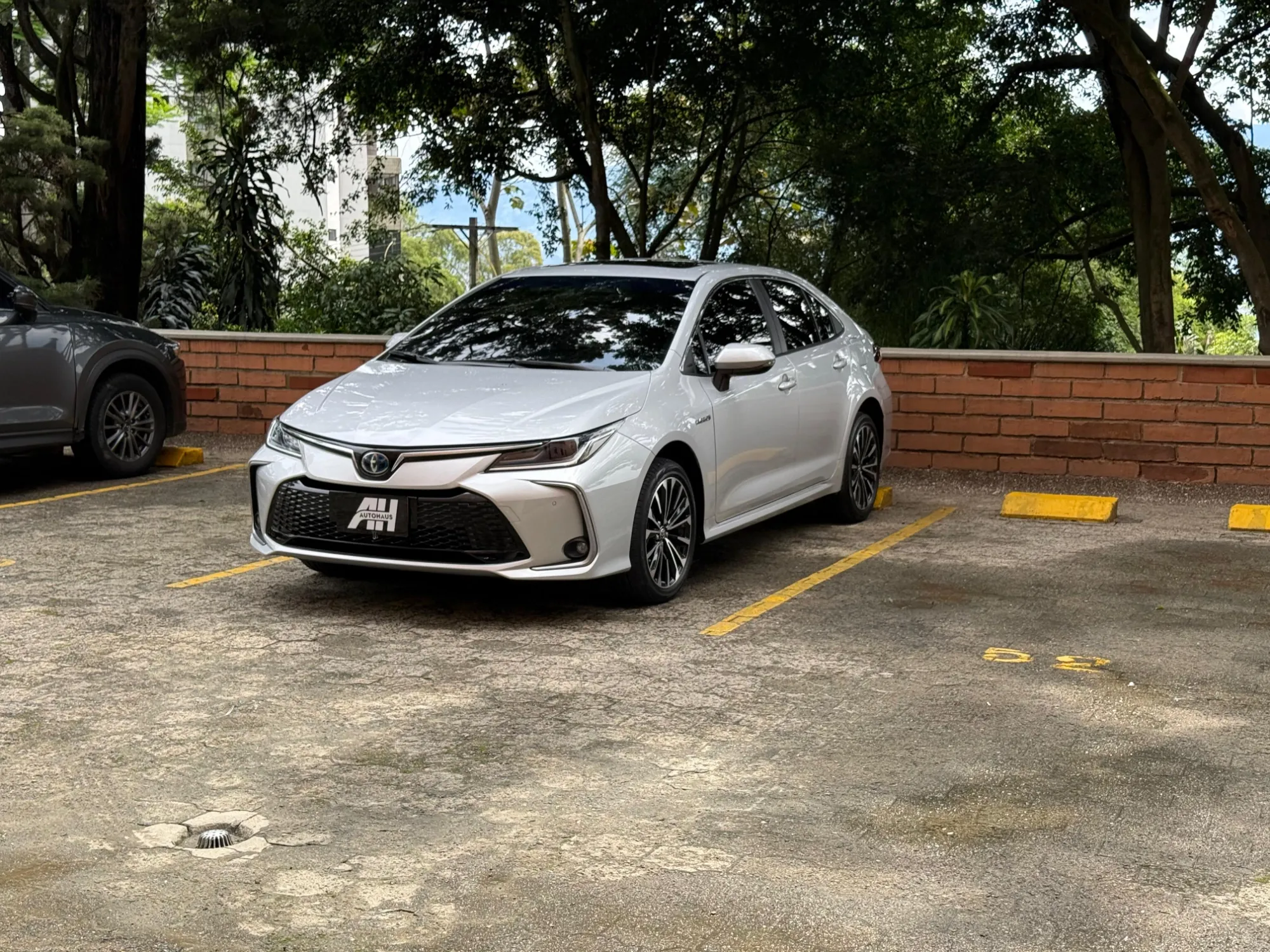Toyota Corolla SEG 