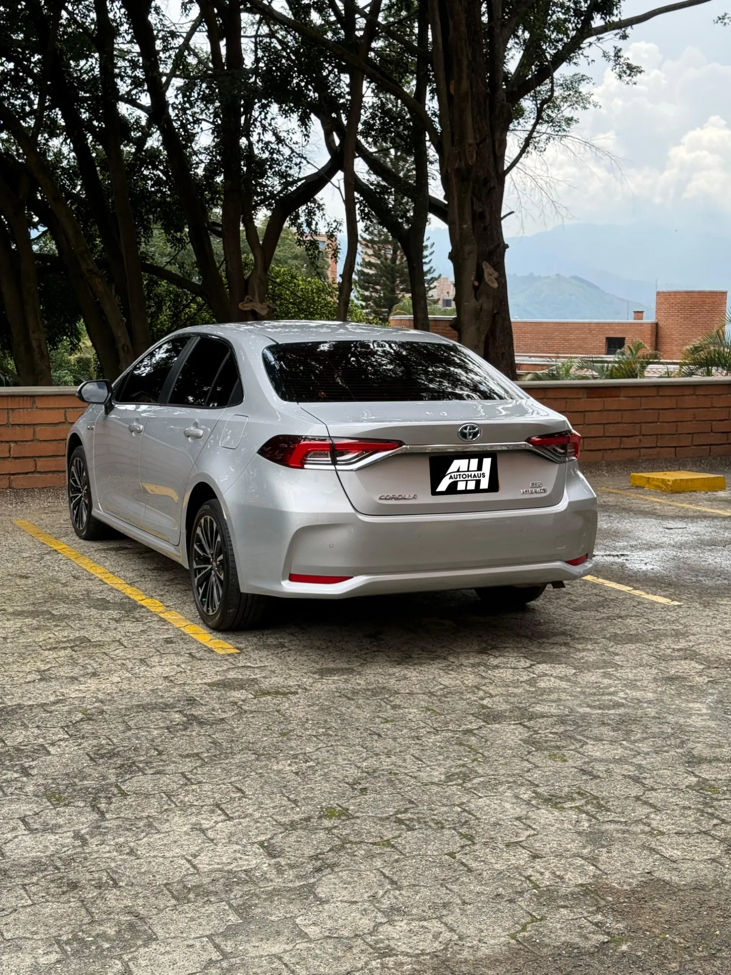 Toyota Corolla SEG 
