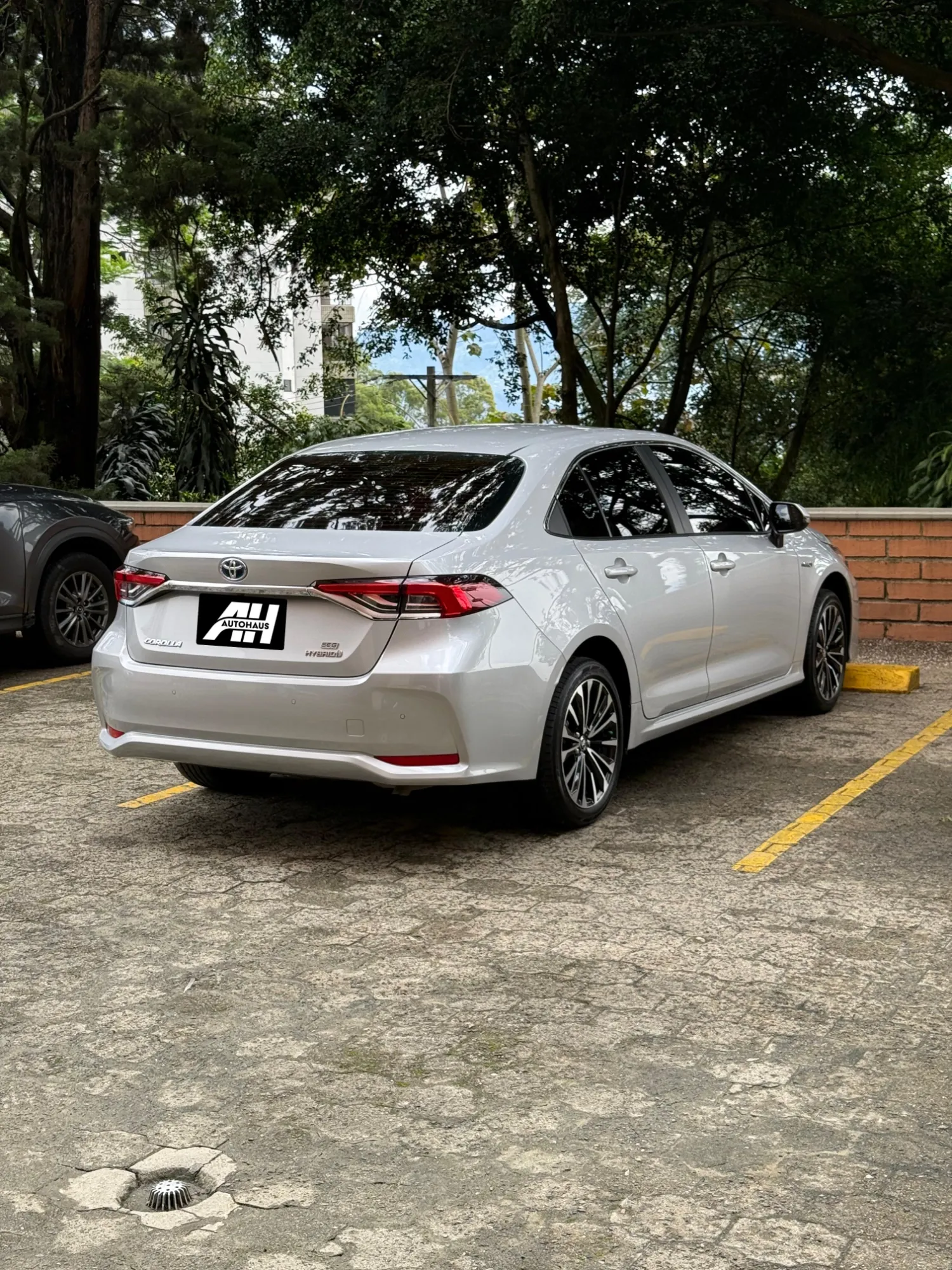 Toyota Corolla SEG 