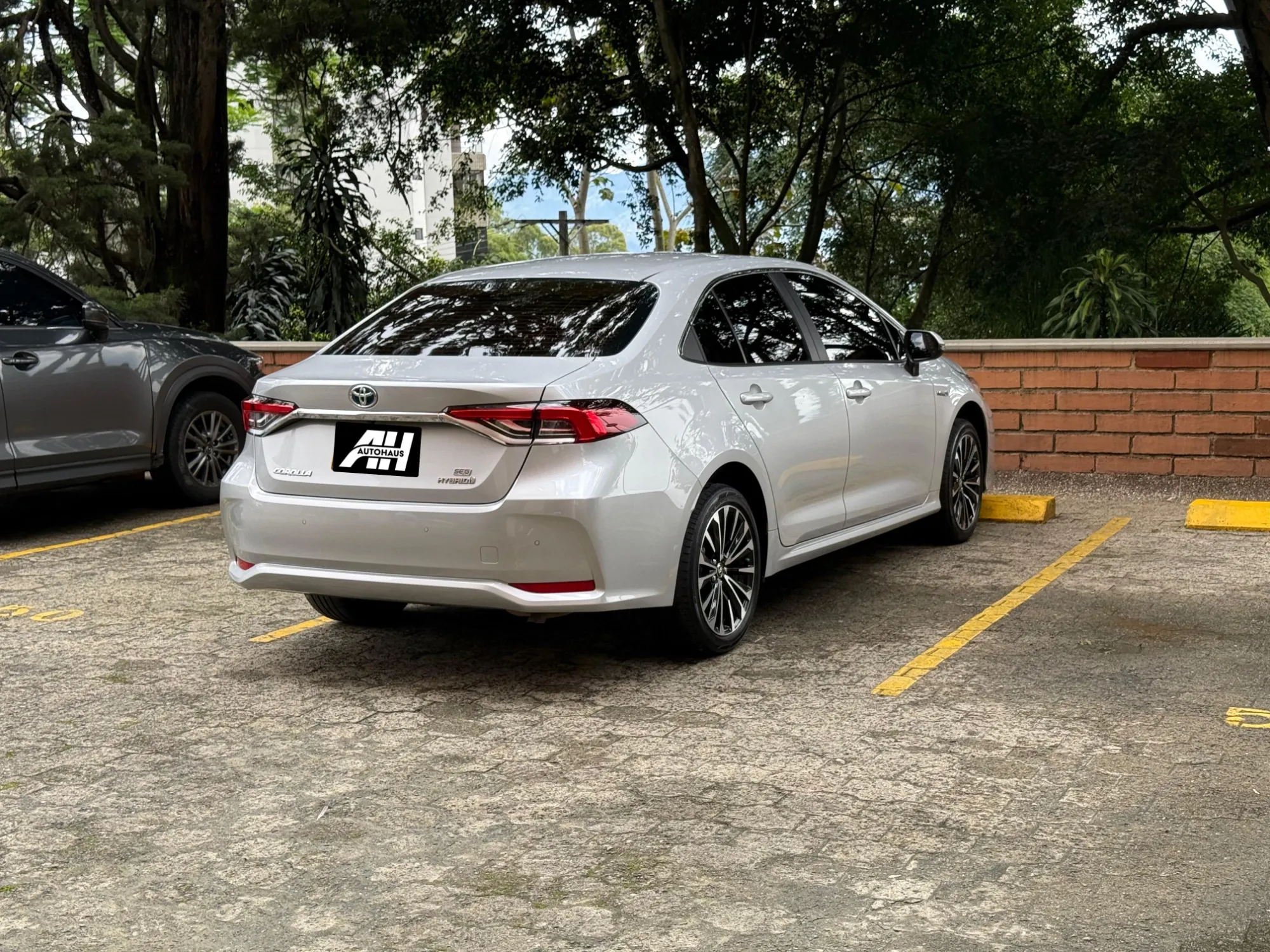 Toyota Corolla SEG 