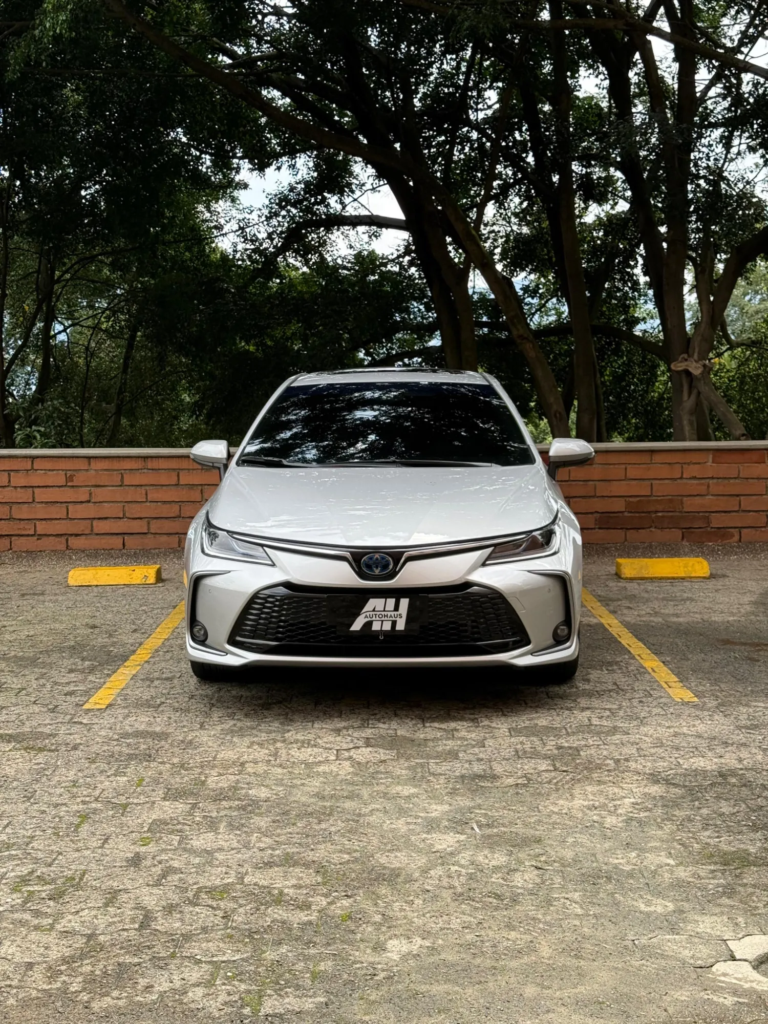 Toyota Corolla SEG 