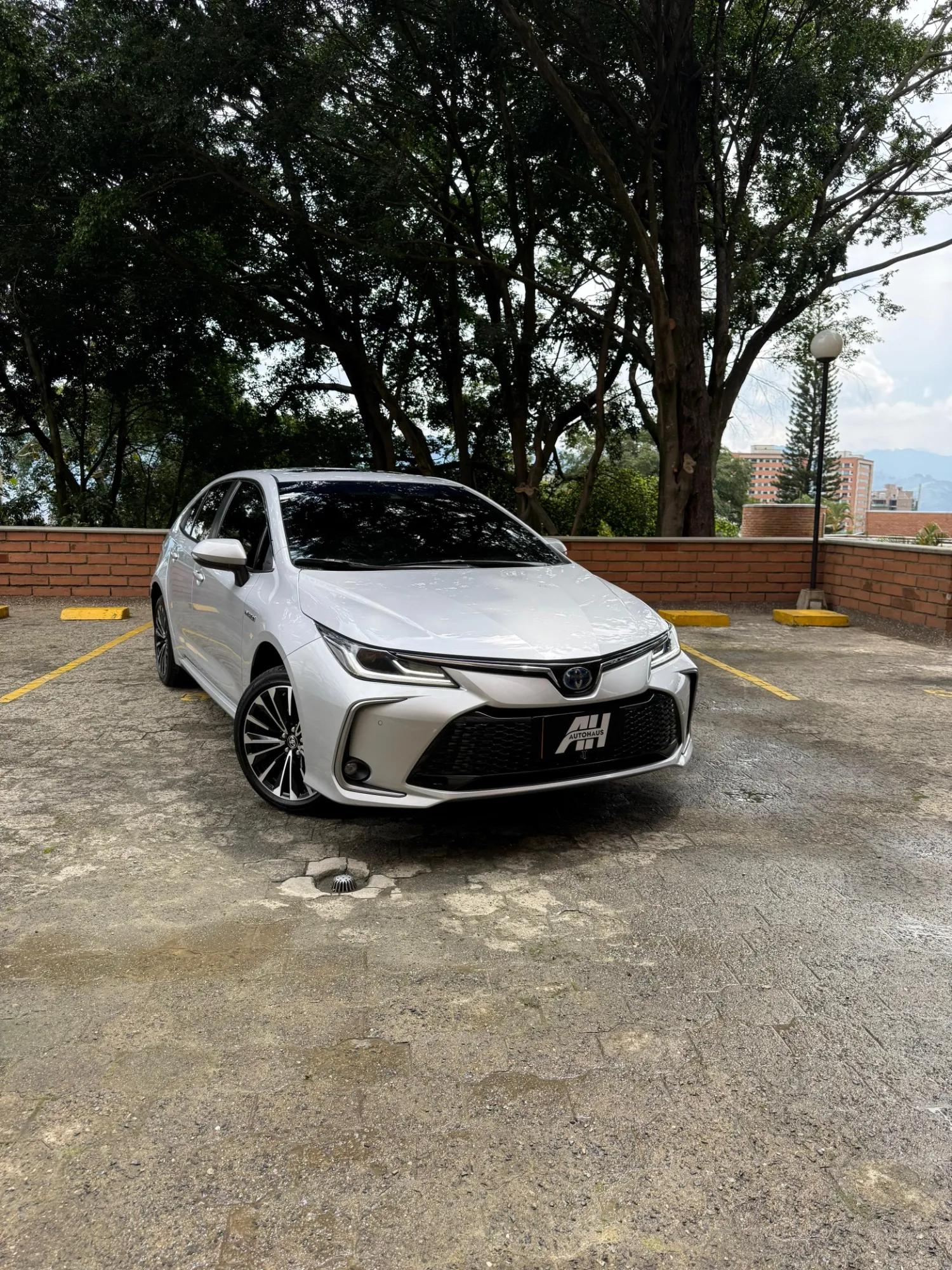 Toyota Corolla SEG 