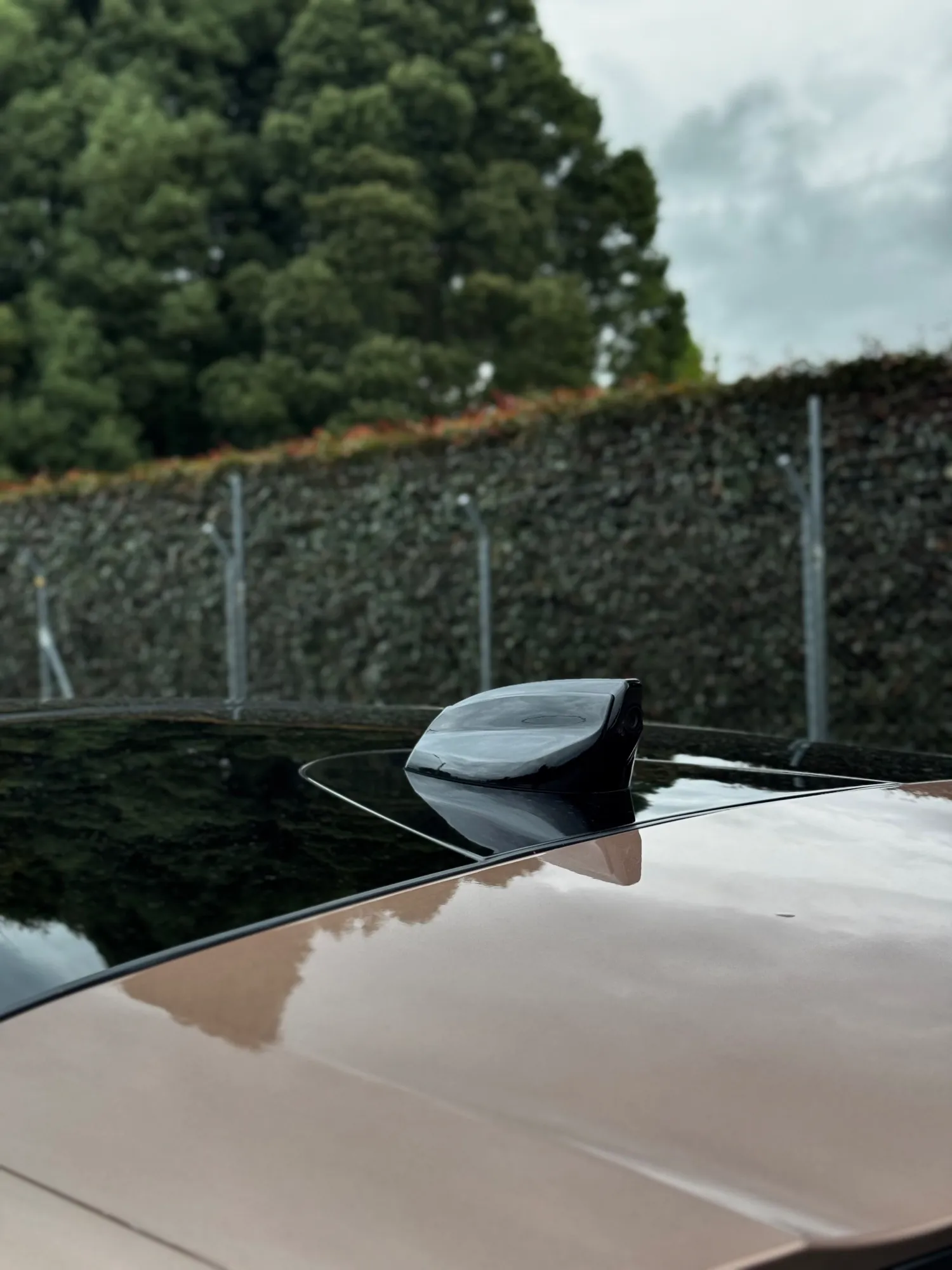 Range Rover Evoque Bronze Collection MHEV 2023 