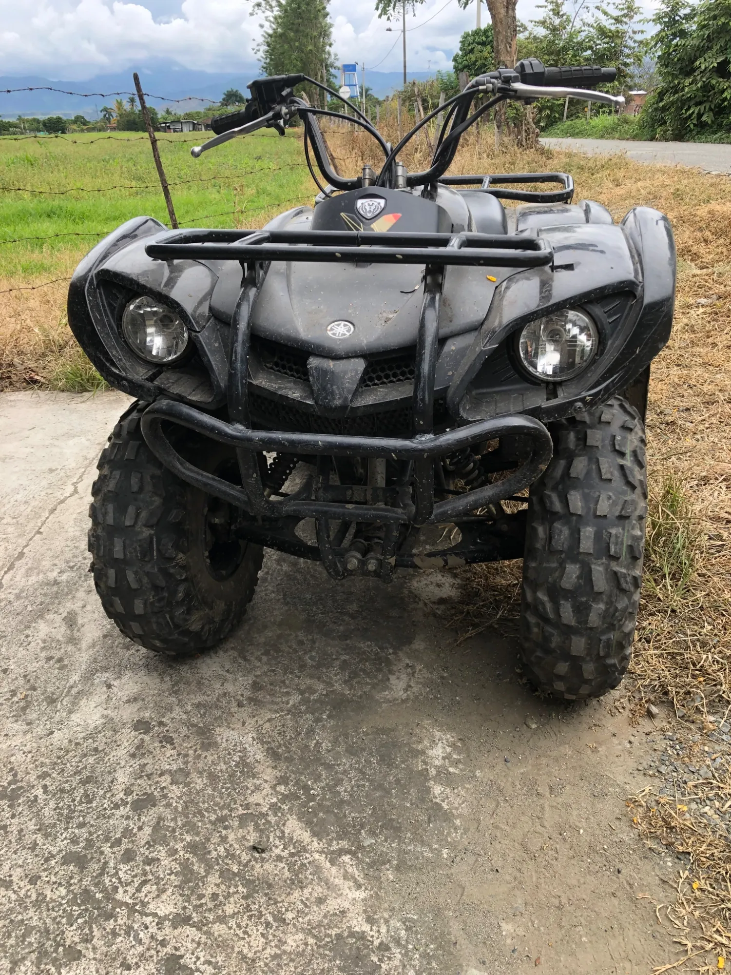 Yamaha Grizzly 125
