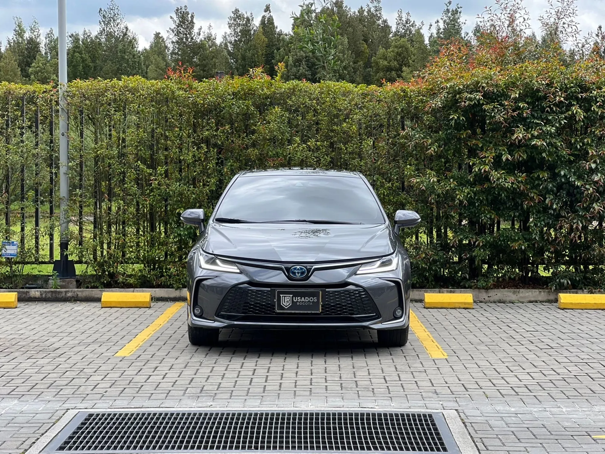 TOYOTA COROLLA SEG -HIBRIDO- POCO KILOMETRAJE-