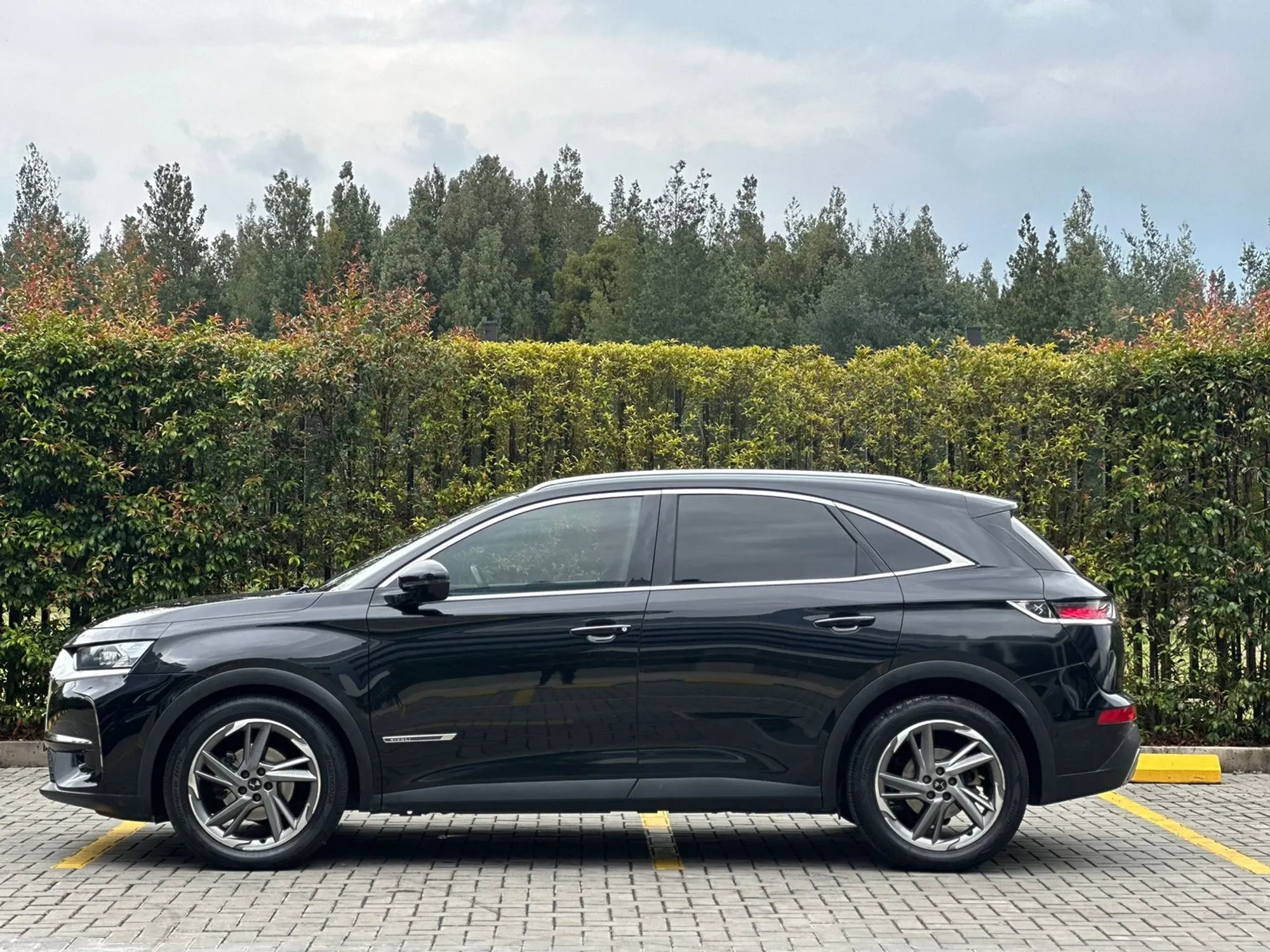 DS7 CROSSBACK 2019