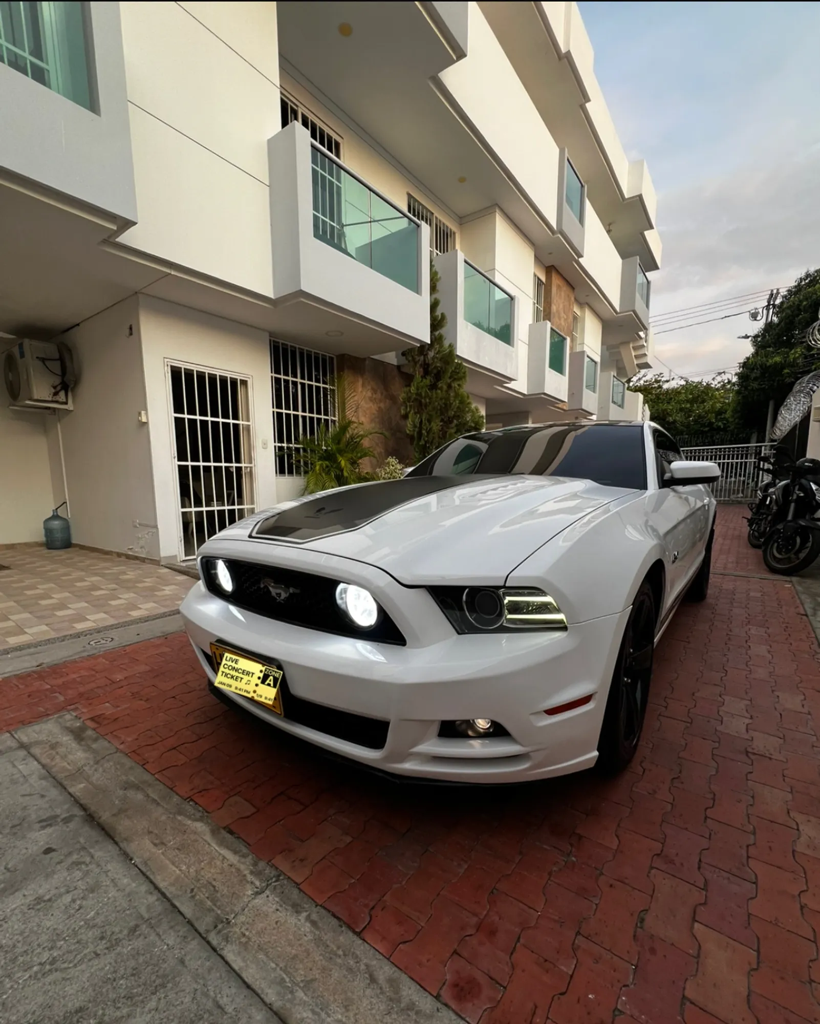 Ford Mustang v8 2013