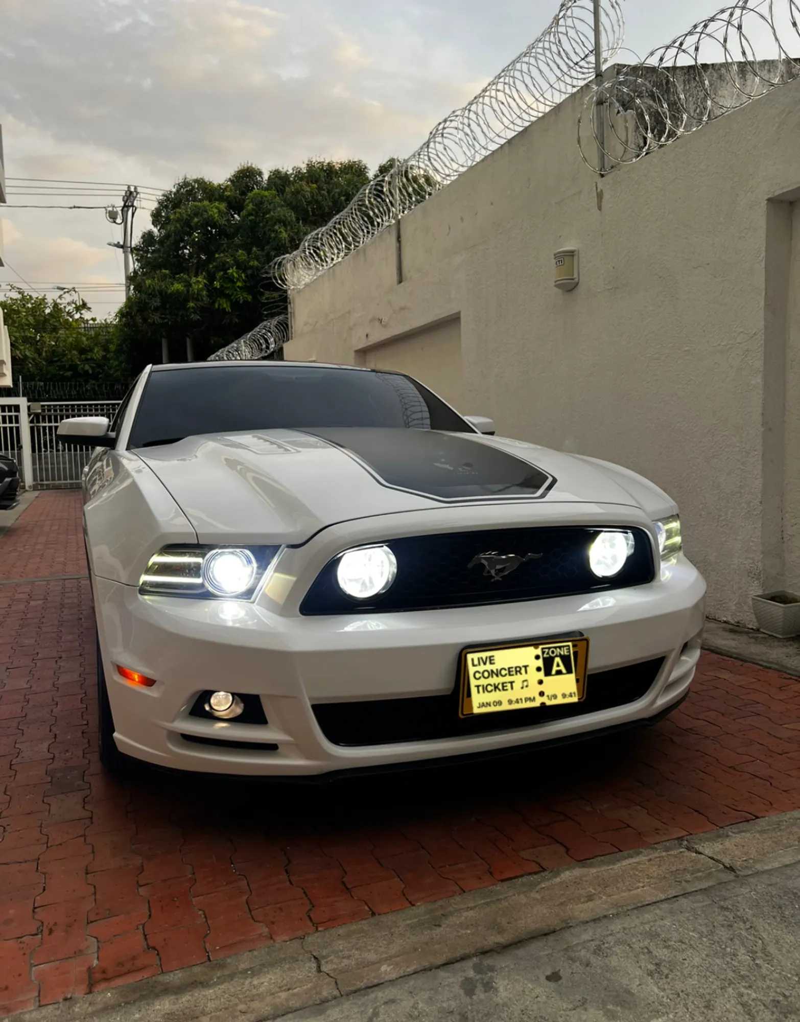 Ford Mustang v8 2013