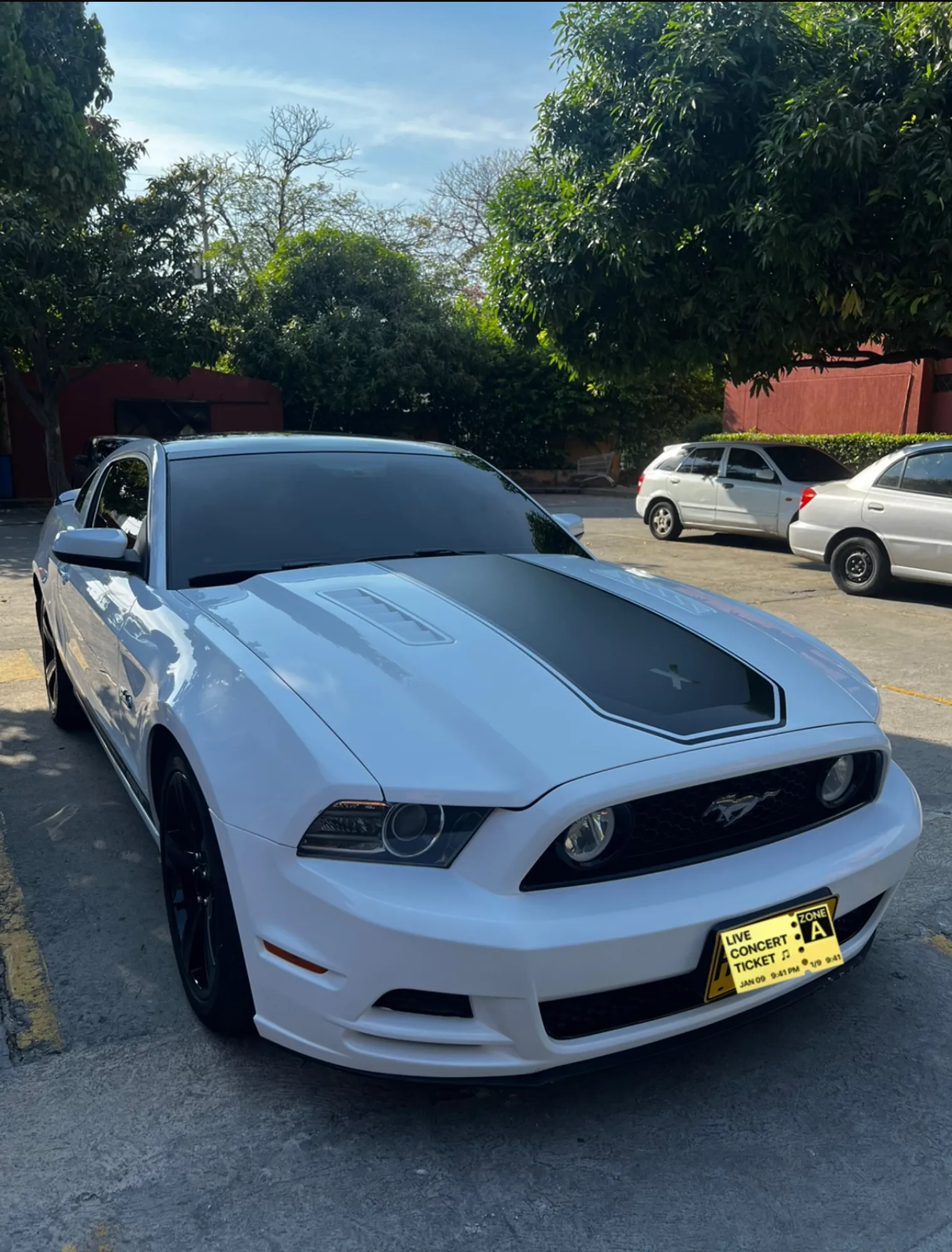 Ford Mustang v8 2013