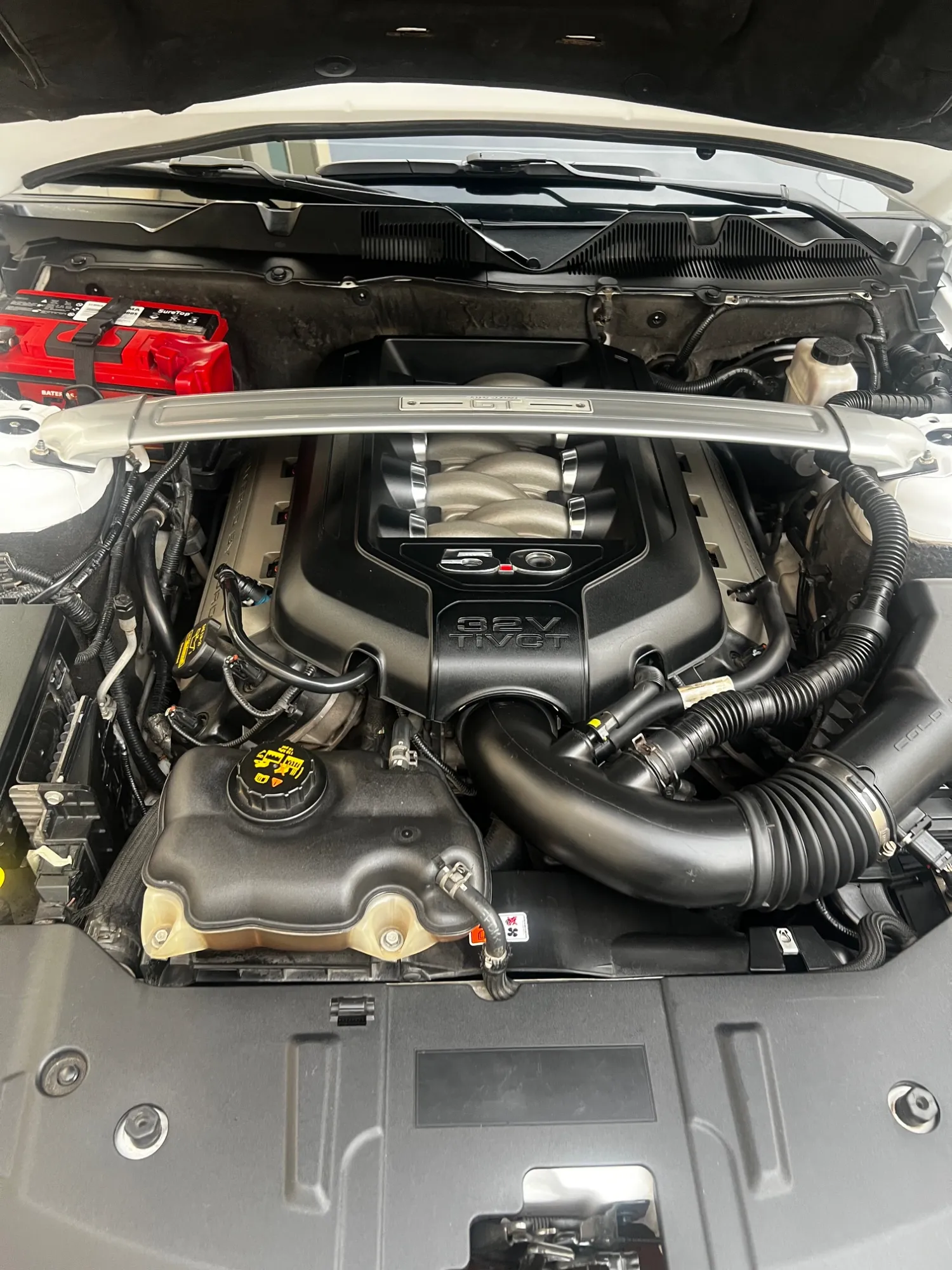 Ford Mustang v8 2013