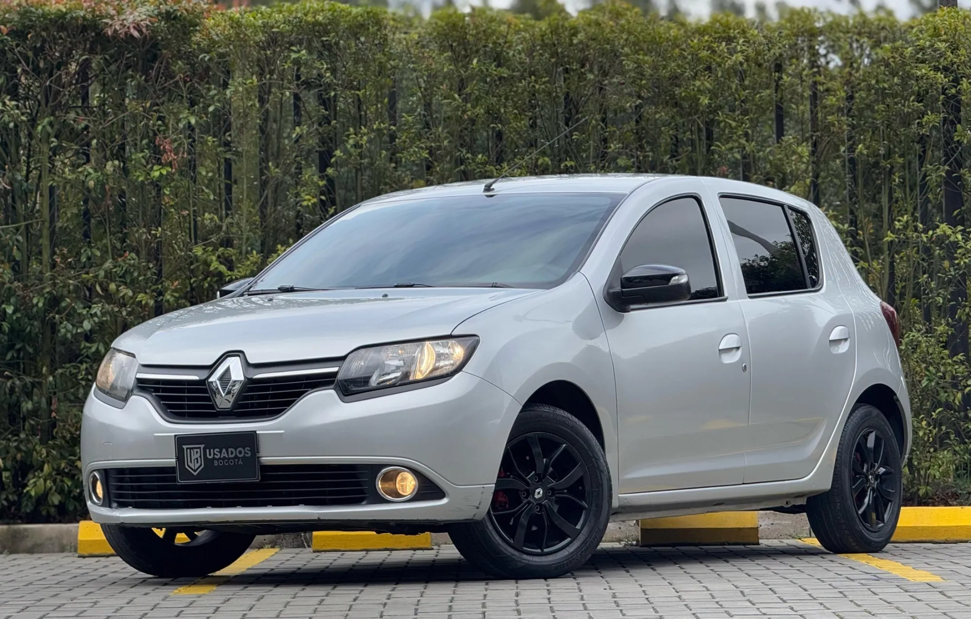 RENAULT SANDERO POLAR 2019