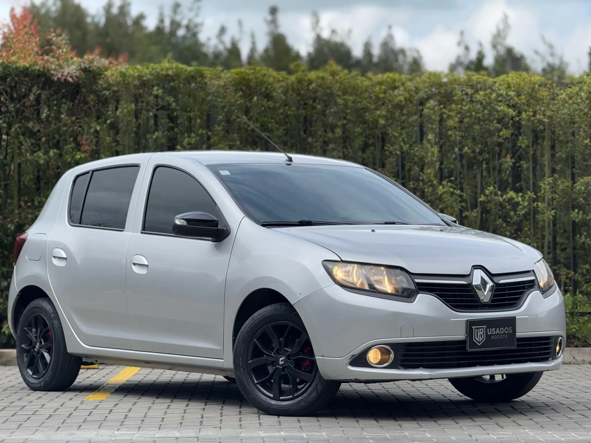 RENAULT SANDERO POLAR 2019
