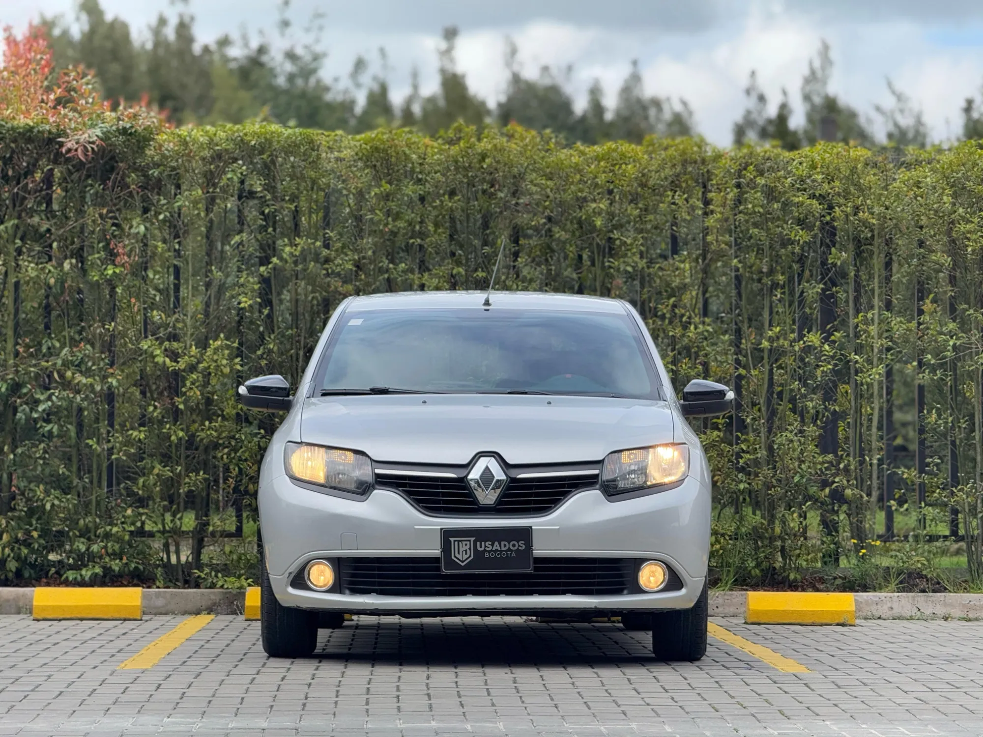 RENAULT SANDERO POLAR 2019