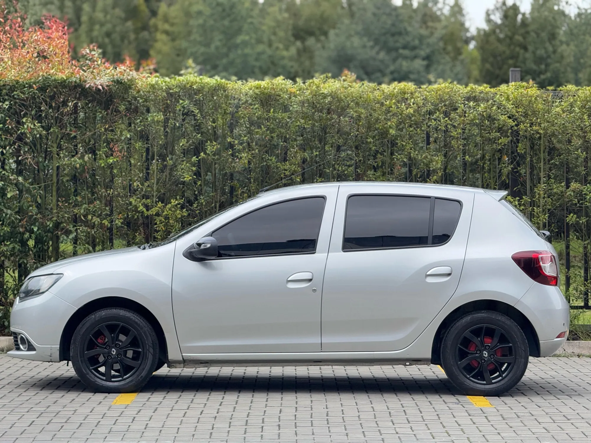 RENAULT SANDERO POLAR 2019