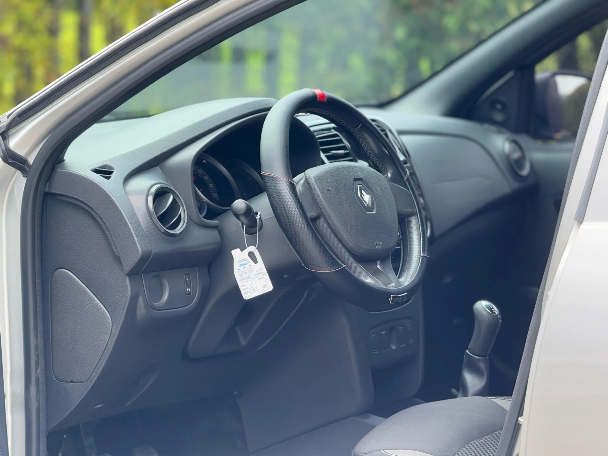 RENAULT SANDERO POLAR 2019