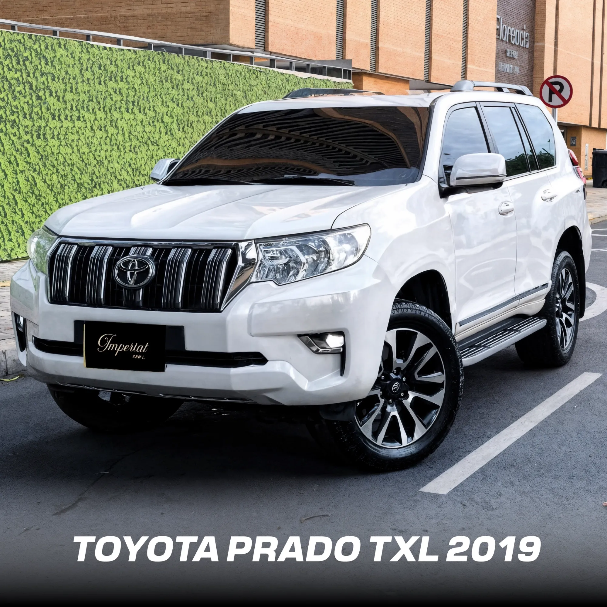 TOYOTA PRADO TXL 2019