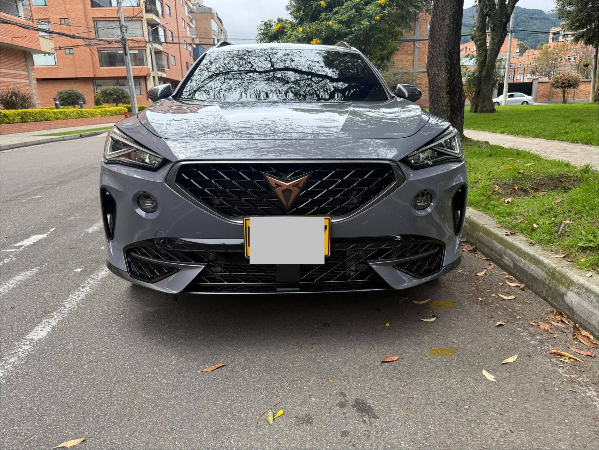 Cupra Formentor PHEV  HBRIDO ENCHUFABLE