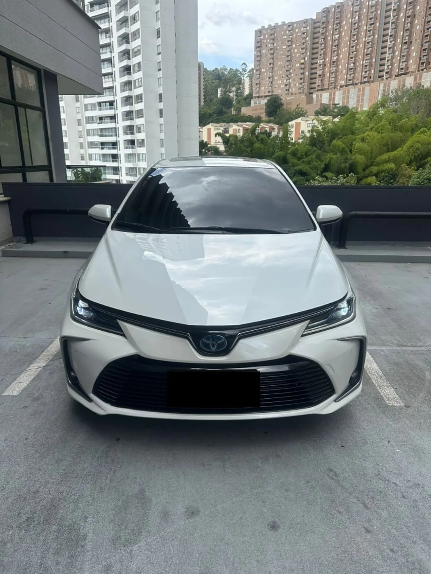 Toyota Corolla SEG Hybrid 2023