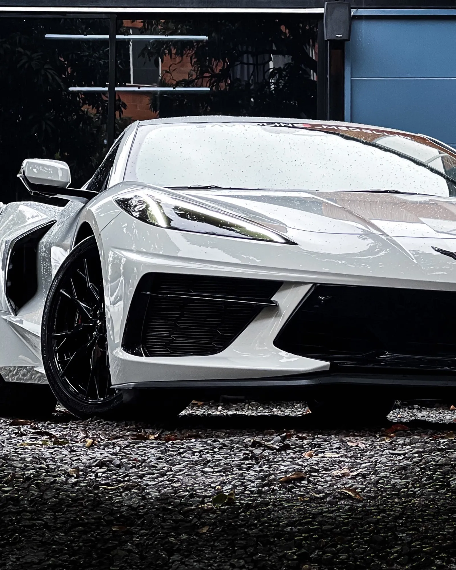 Corvette C8 Stingray Coup 2025 