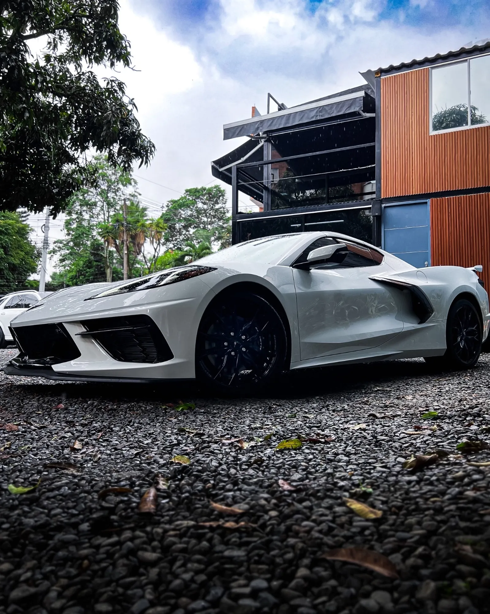 Corvette C8 Stingray Coup 2025 