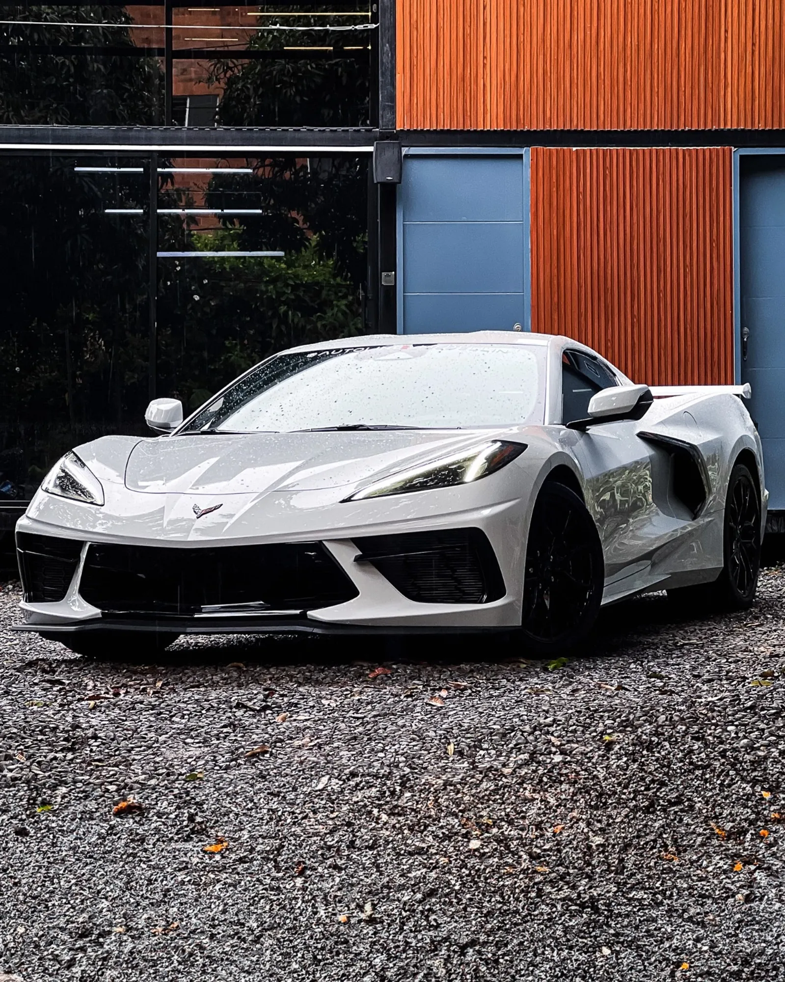 Corvette C8 Stingray Coup 2025 