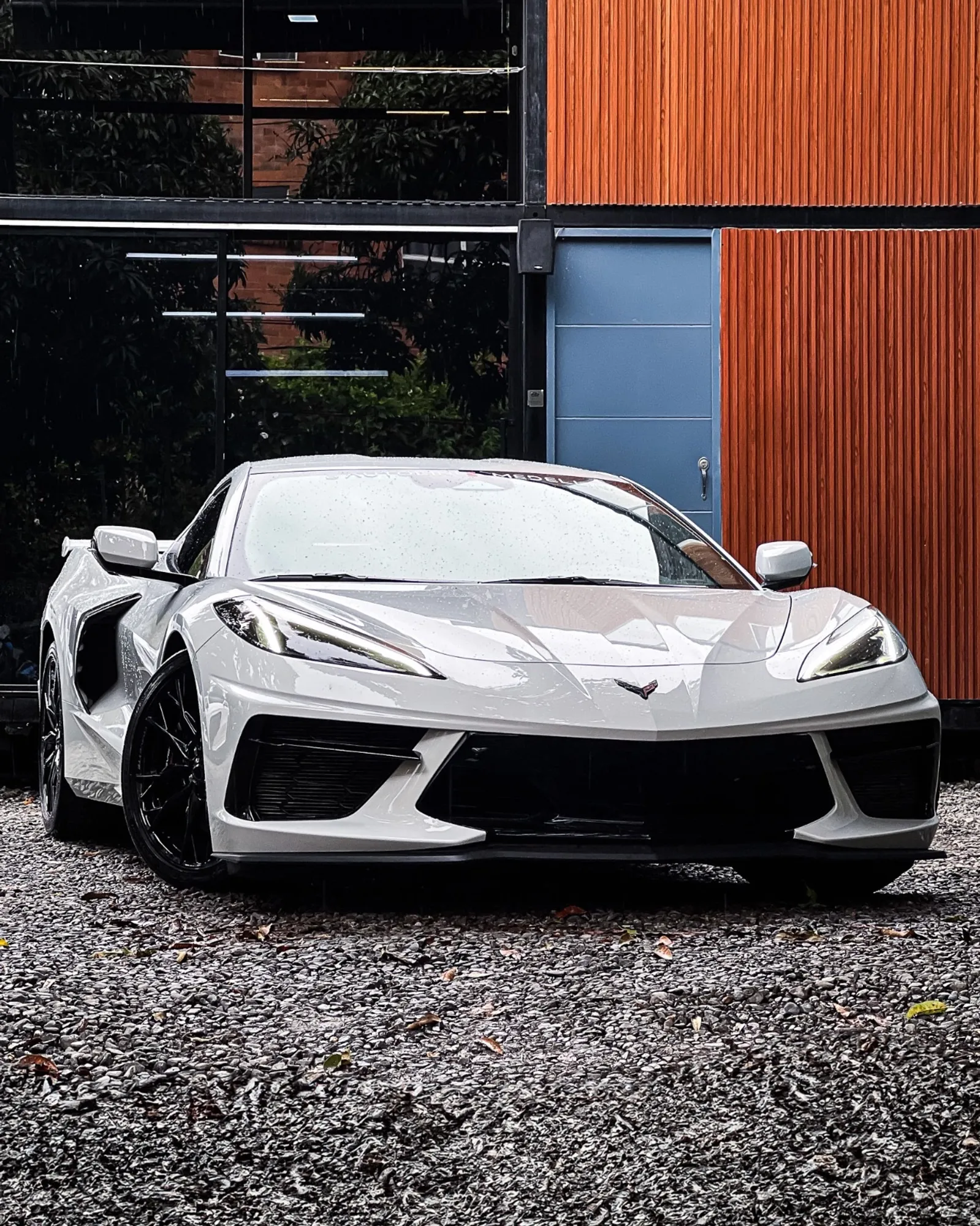 Corvette C8 Stingray Coup 2025 