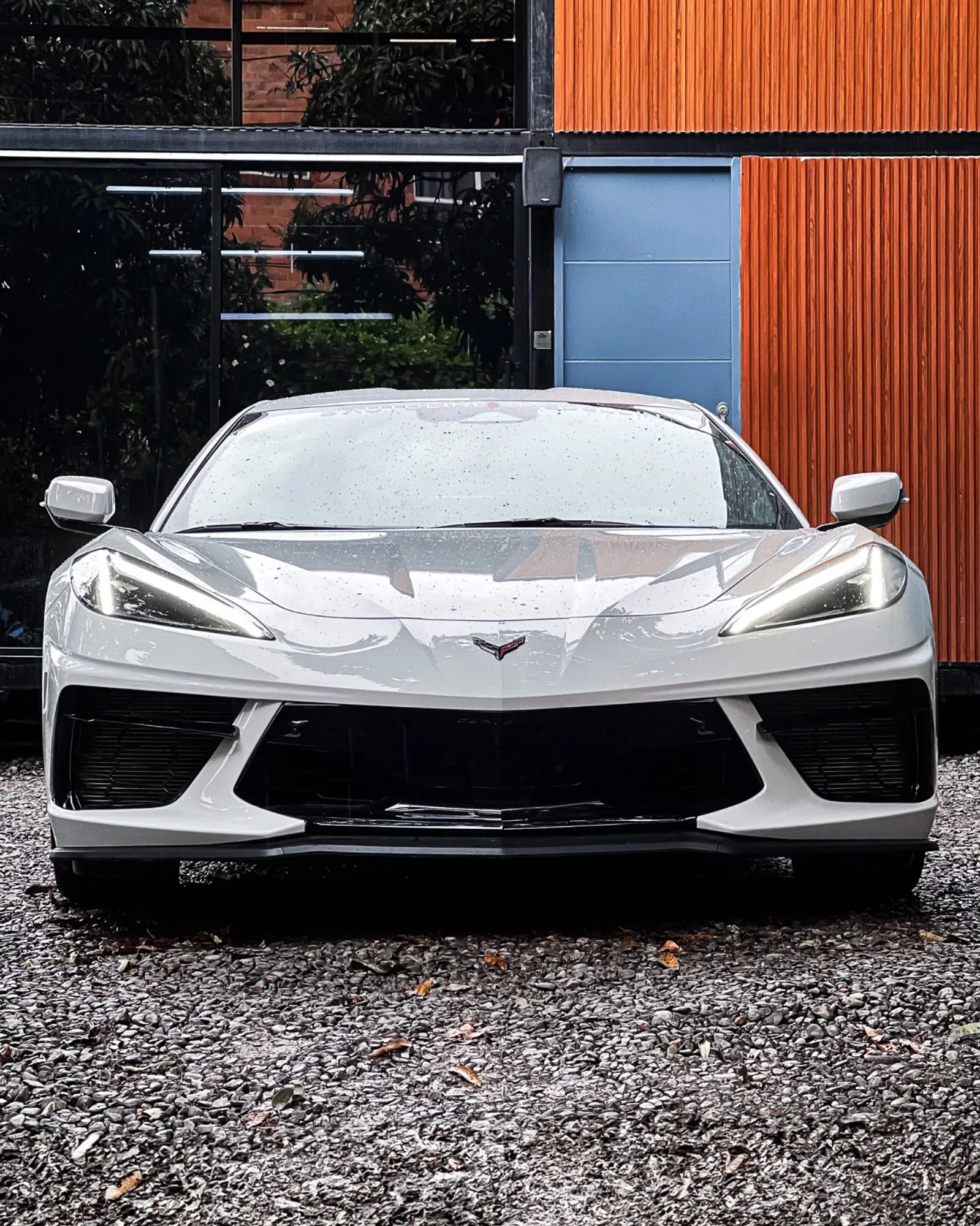 Corvette C8 Stingray Coup 2025 