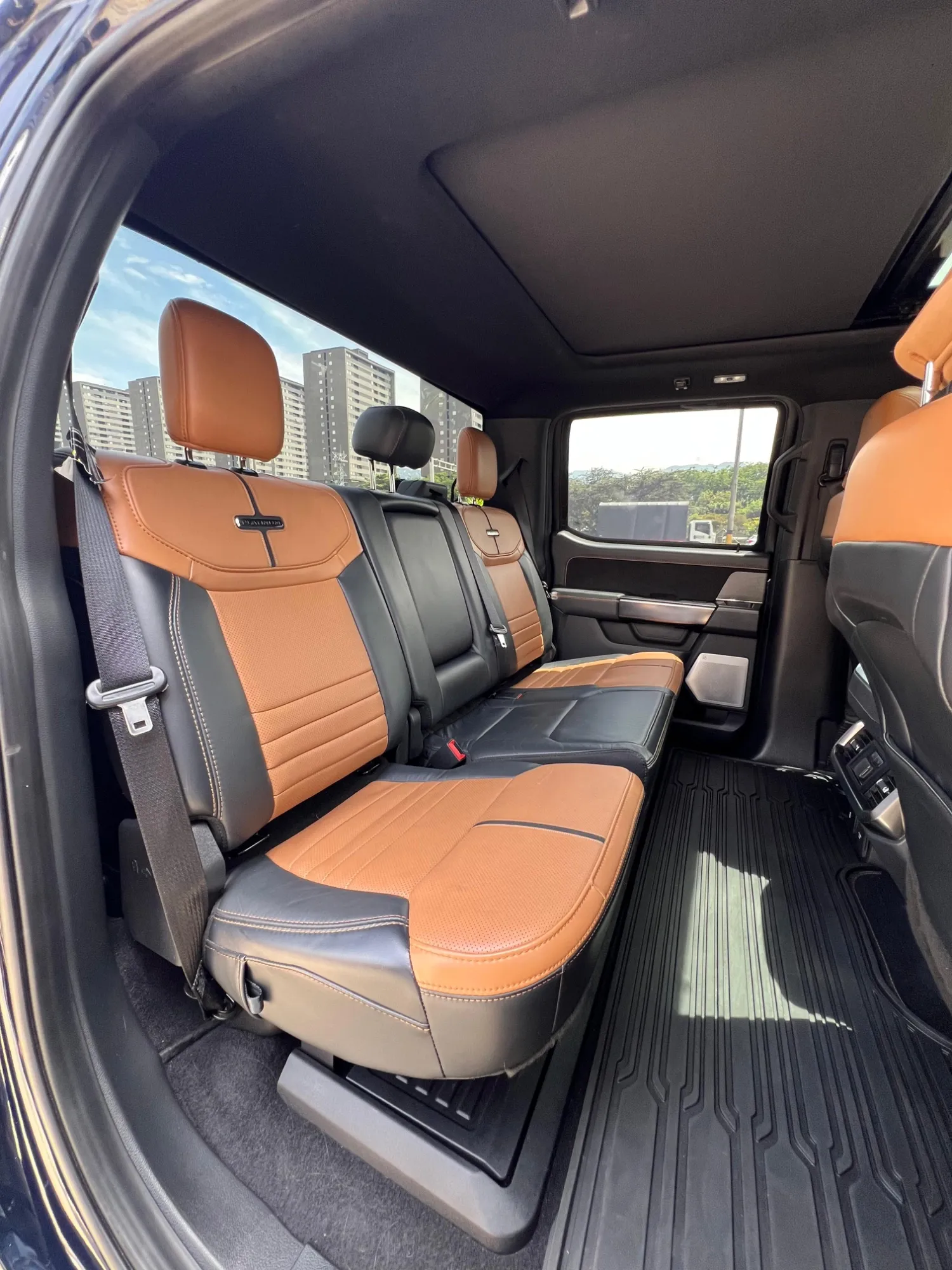 Ford F150 Platinum FHEV 2023 Blindada