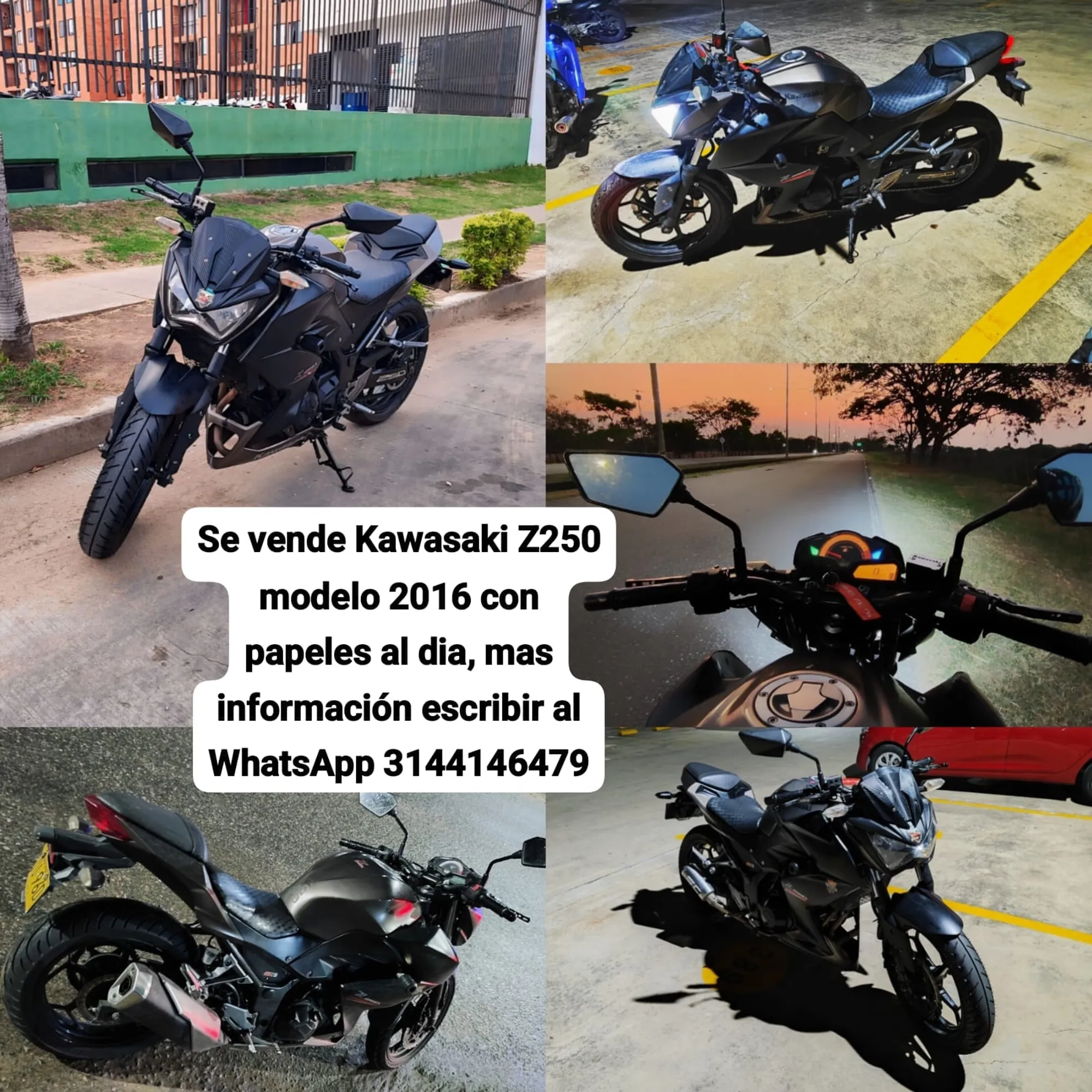 Moto Kawasaki Z250