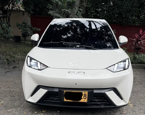 Byd seagull 2026