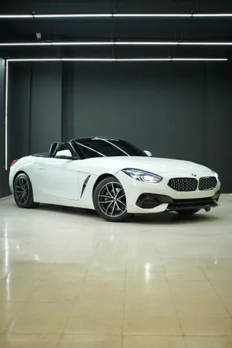 BMW Z4 sDrive20i