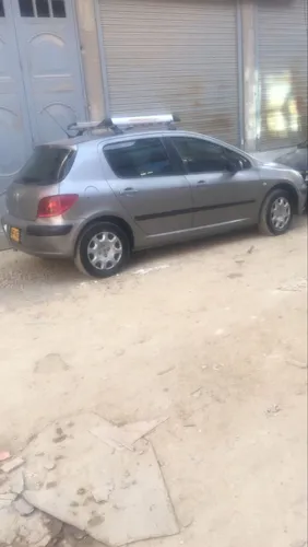 Peugeot 307 2002