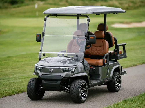 GOLF CART Zycar E4