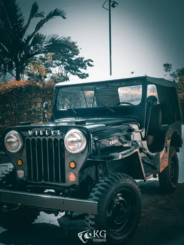 JEEP WILLYS 1954 RESTAURADO