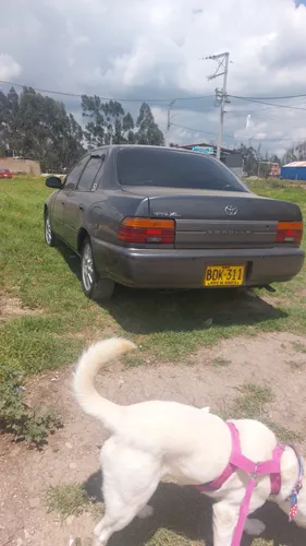Toyota Corolla XL 