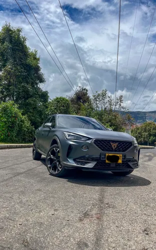 Cupra Formentor  2.0 TSI Gris Mate DSG