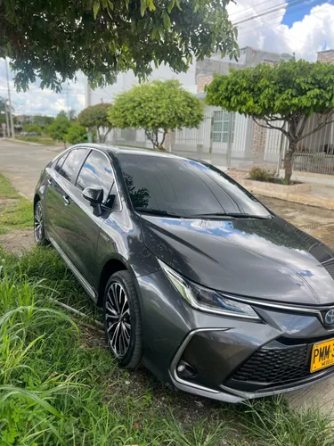 Toyota corolla seg 2024