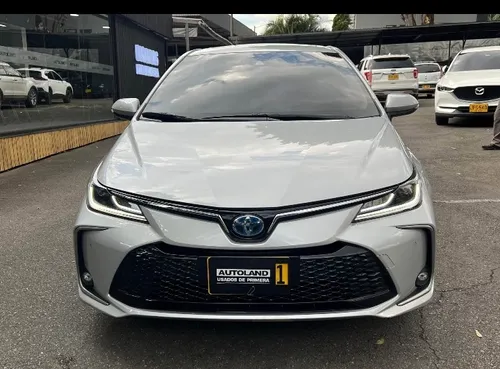 Toyota Corolla Seg 2024