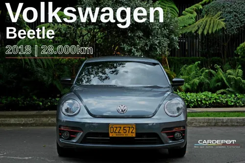 Volkswagen Beetle desing