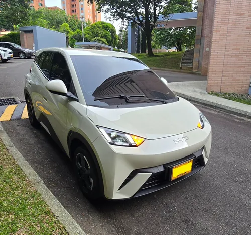 BYD Seagull 300