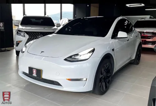 Tesla Model Y 2021 Blanco Perlado