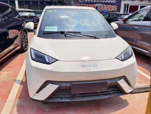 BYD Seagull 0.0 Gs 400