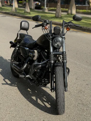 Harley Davidson Iron 833 2019